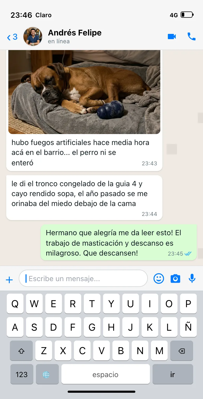 Conversa WhatsApp Andrés & Rocky